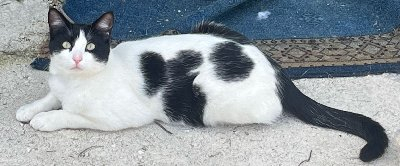 249119