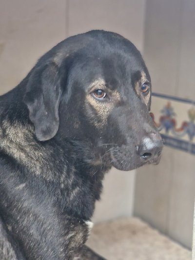 251838
