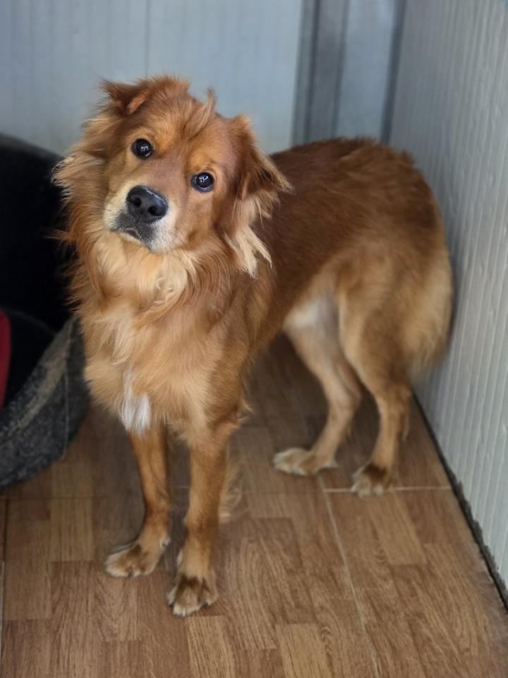 253288