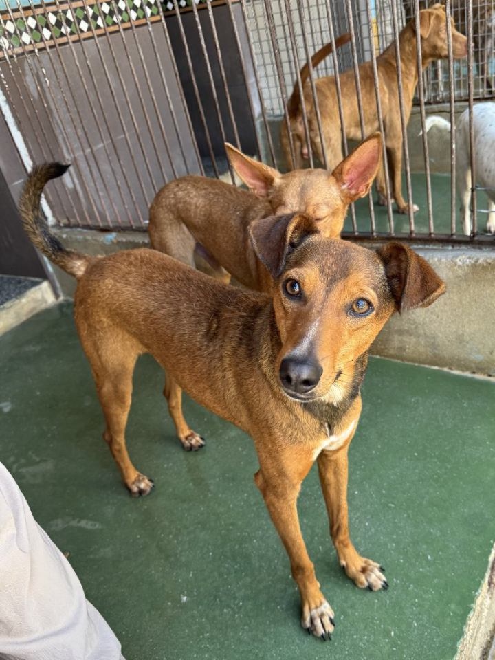 253643