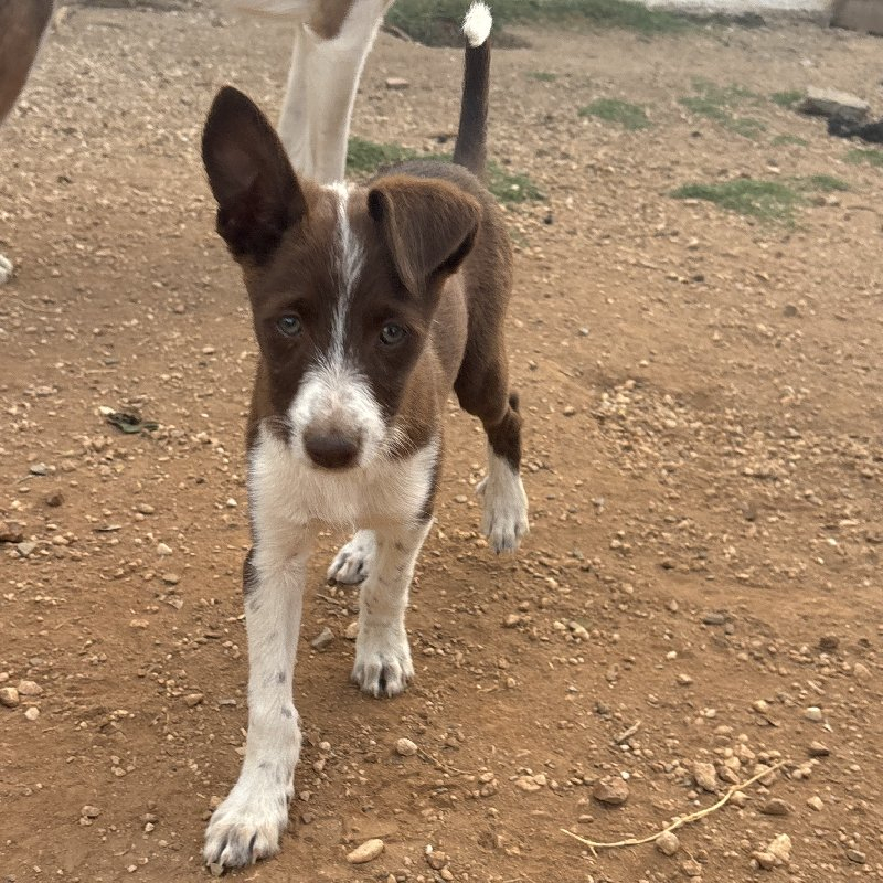 253921