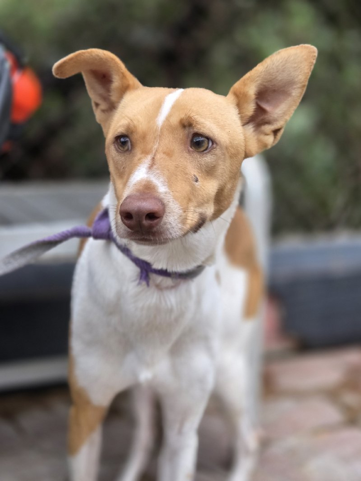 255001
