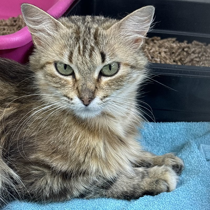 255929