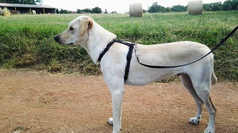 256739
