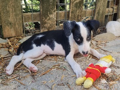258587