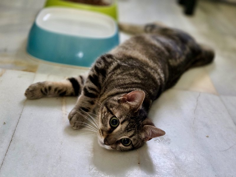 258632