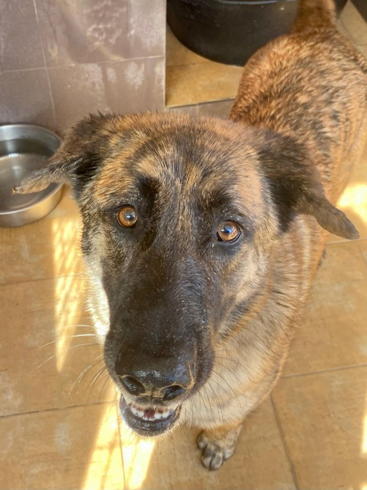 259017