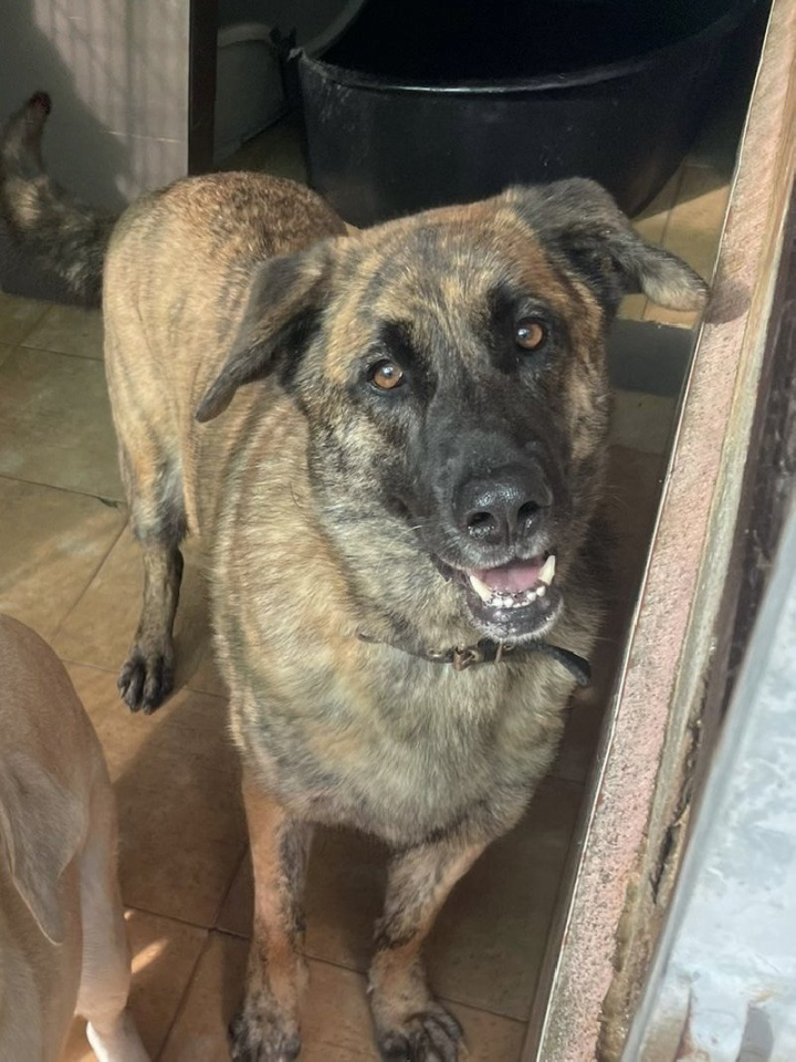 259021